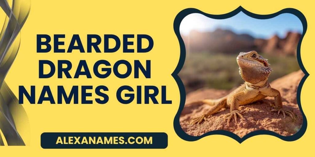 Bearded Dragon Names Girl