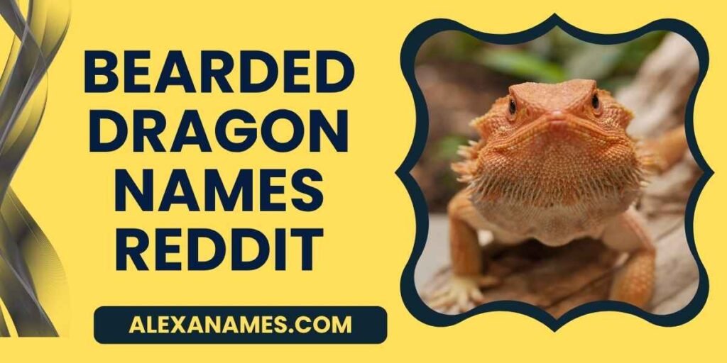 Bearded Dragon Names Reddit