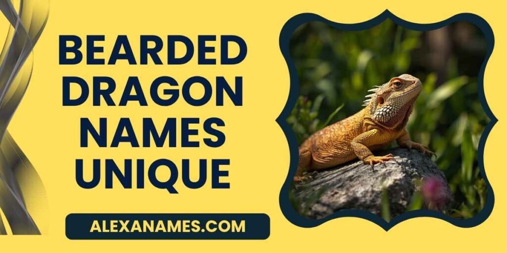 Bearded Dragon Names Unique