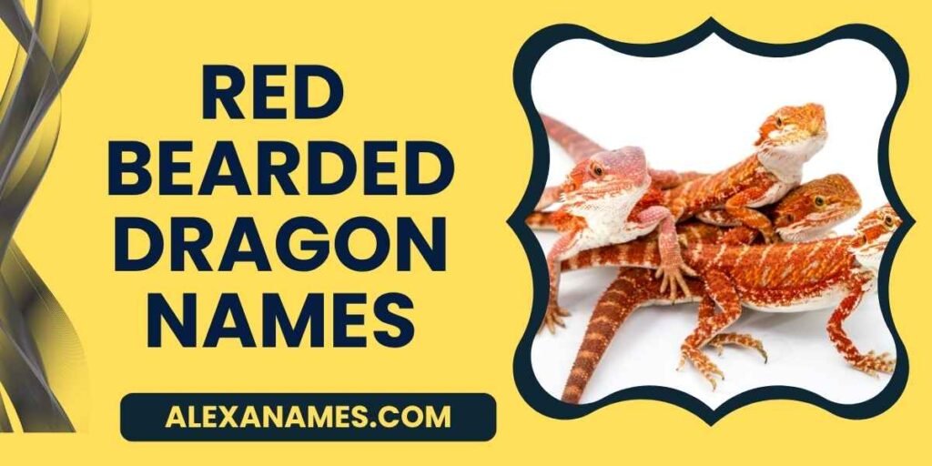 Red Bearded Dragon Names