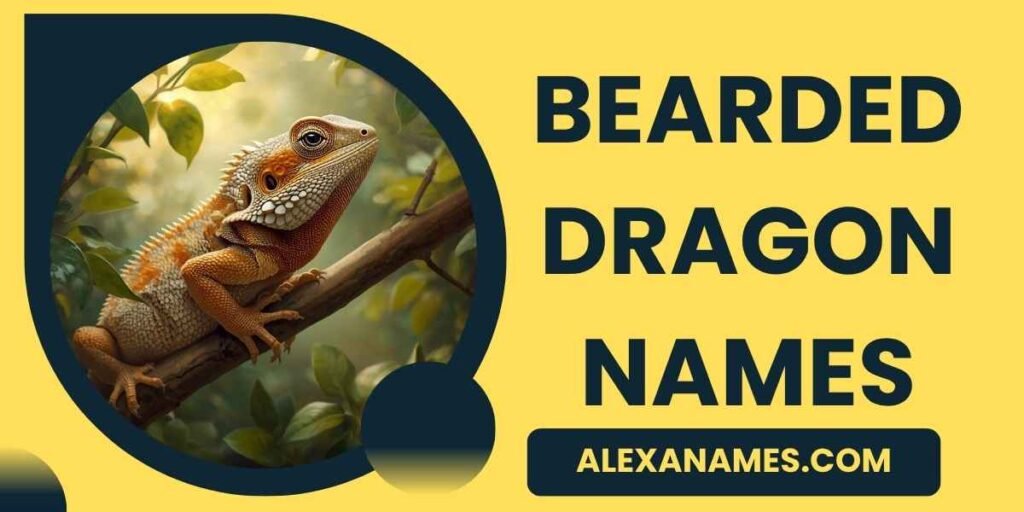 Bearded Dragon Names