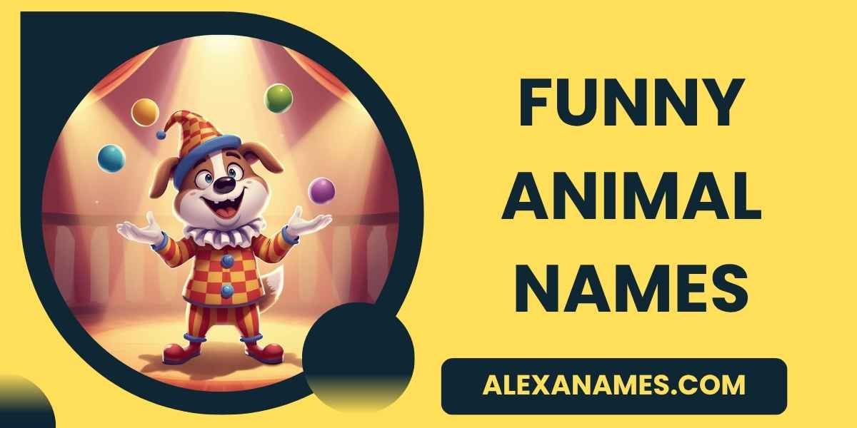 Funny Animal Names
